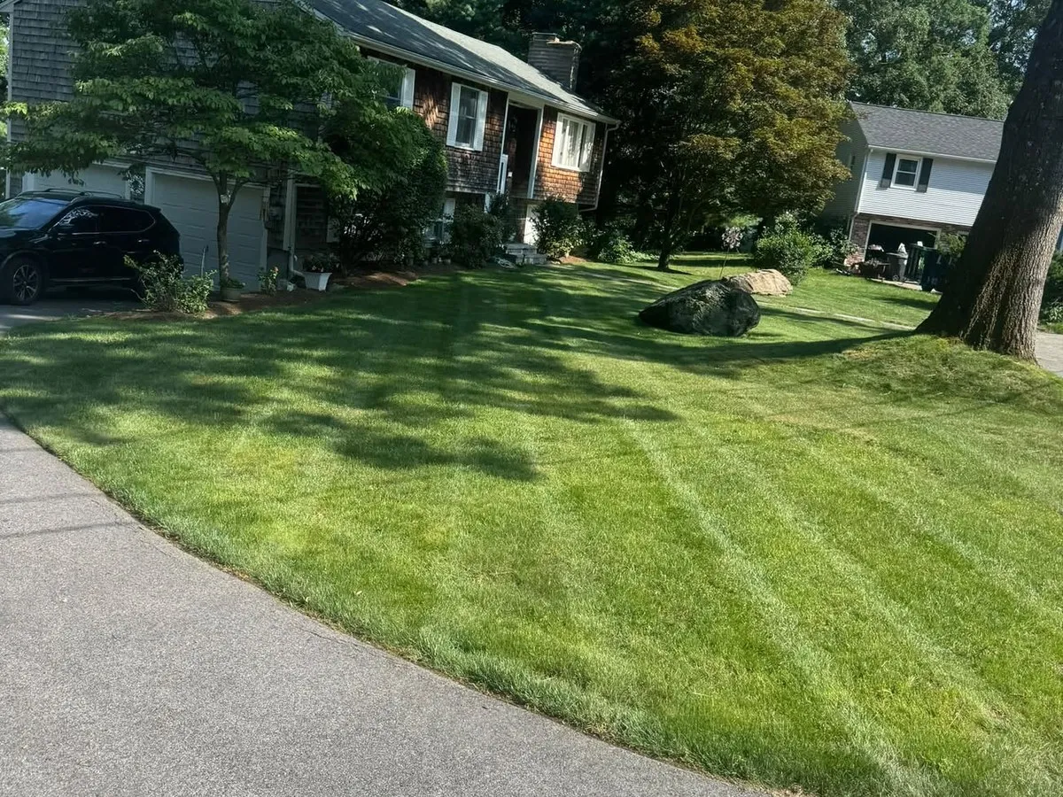 Striped freshly mowed front lawn with a boulder accent beside a shingled house and driveway